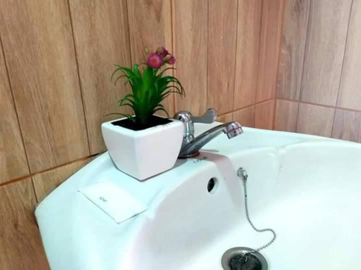 Saming Chiang Dao Guest House Luaran gambar